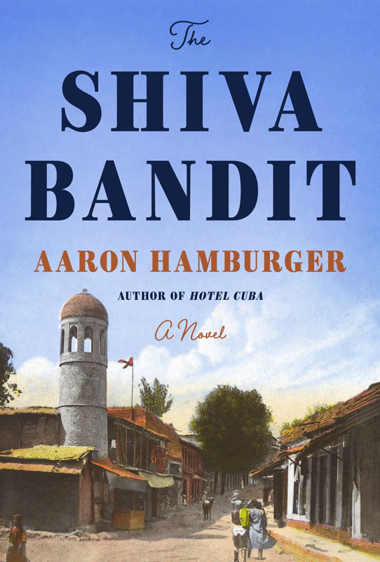 THE SHIVA BANDIT by AARON HAMBURGER